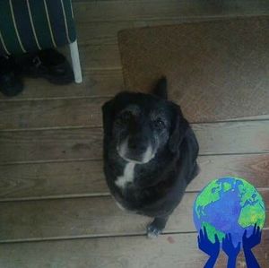 Meet your Posher, Rob